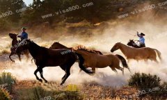 �����˺��ļ�ֵ�۵���Ҫ��ɲ��֡�